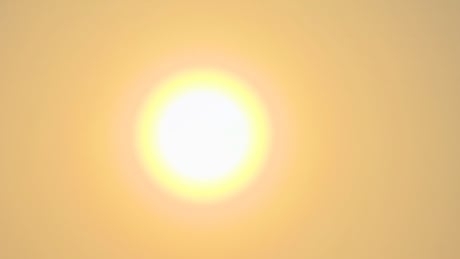 Southeastern Alberta under heat warning with highs forecast above 30 C this weekend