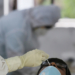 Asia Today: 67 new cases in S Korea, highest jump in 3 weeks