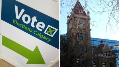 Equalization referendum during municipal elections gets panned, except by Farkas