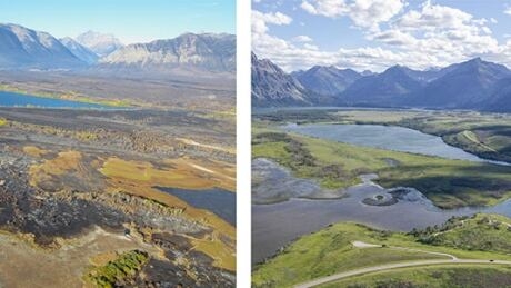 ‘Nature knows what to do’: Renewal at fire-ravaged Waterton Park