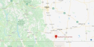 4-year-old boy found dead near southern Alberta campground after overnight search