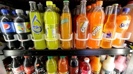 Doctors call fatty liver disease a growing public health concern in Canada