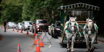 Tangled traffic as cars, bikes and horses forced to share the road in Stanley Park