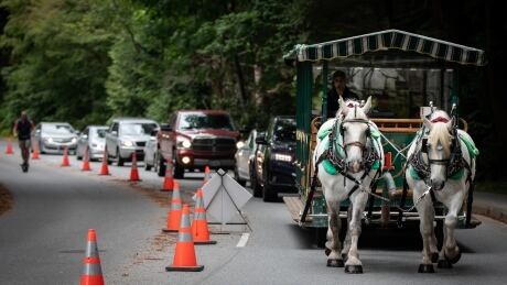 Tangled traffic as cars, bikes and horses forced to share the road in Stanley Park