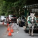 Tangled traffic as cars, bikes and horses forced to share the road in Stanley Park