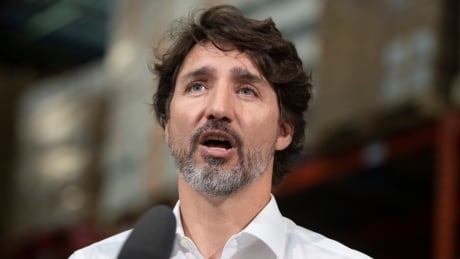 Prime minister updates Canadians about restarting economy