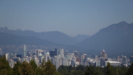 B.C. releases plan for unpaid rent repayment