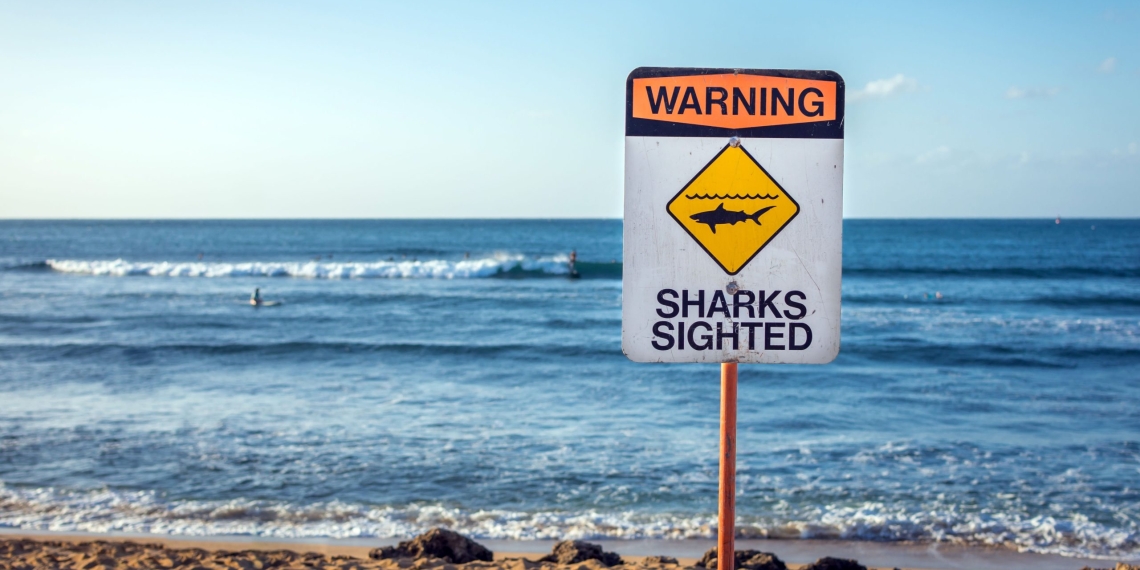 Another shark sighting in Long Island forces temporary shutdown of area waters