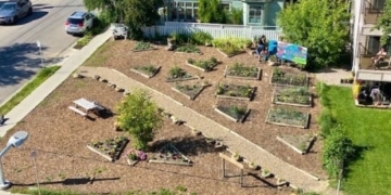 Inner-city neighbourhood transforms vacant land into thriving community garden