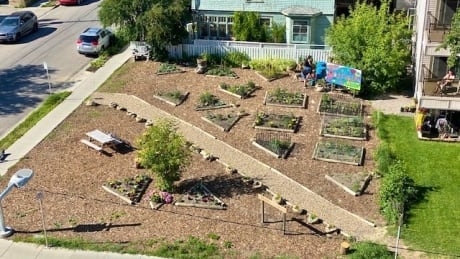 Inner-city neighbourhood transforms vacant land into thriving community garden