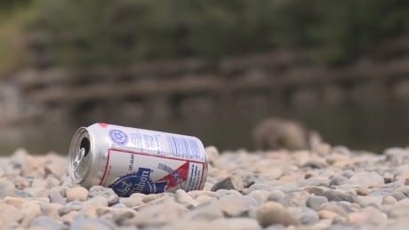 Bylaw infractions double as peace officers up patrols in Calgary parks