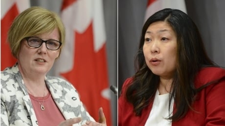 Cabinet ministers to appear at House of Commons committee investigating WE Charity deal