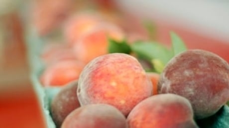 Here are some quick and cool meals you can enjoy during hot weather