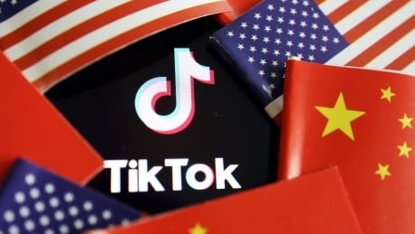 What would a U.S. ban on Chinese-owned app TikTok mean?
