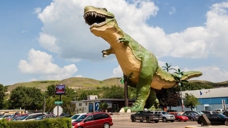 Starland County, Viking leap to top of active COVID-19 case list as numbers surge in central Alberta