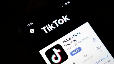 TikTok’s fate in the balance as U.S. judge weighs app store ban