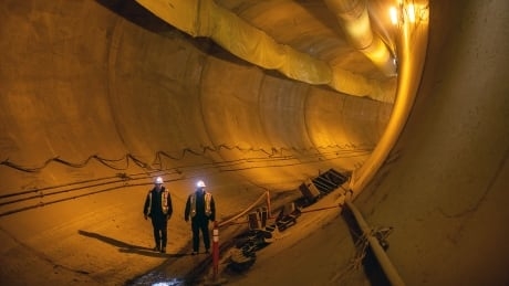 B.C. government must halt Site C dam project to review cost and geotechnical risks, open letter says