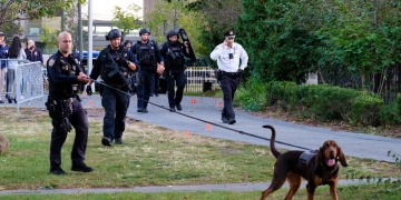Man shot in the head in Queens park as children play nearby