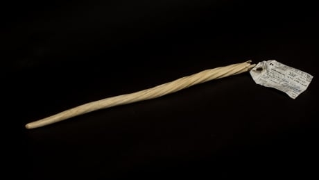 Anonymously donated narwhal tusk heads from thrift store to U of C’s Arctic Institute