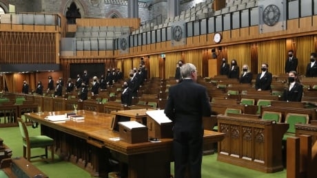 Commons installs plexiglass to protect pages as MPs accused of ignoring physical distancing rules