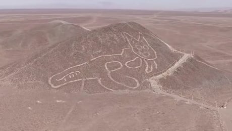 Peruvian archeologists unveil giant cat carved into Nazca hillside