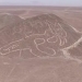 Peruvian archeologists unveil giant cat carved into Nazca hillside