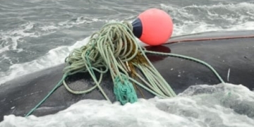 More ropeless fishing happening on Eastern seaboard as industry leaders meet