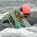 More ropeless fishing happening on Eastern seaboard as industry leaders meet