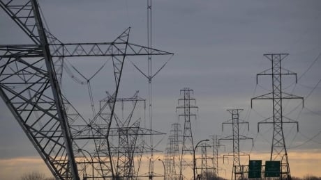 State-sponsored actors ‘very likely’ looking to attack electricity supply, says intelligence agency