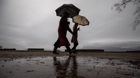 Environment Canada issues warnings for windy conditions along South Coast