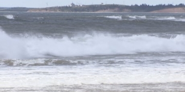 Canada recommits to protecting oceans, sustainable marine management