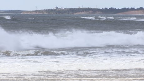 Canada recommits to protecting oceans, sustainable marine management