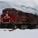 No injuries after CP train derails near Field, B.C.
