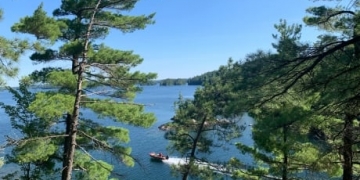 'This was the way to do it'— towns, First Nations, logging companies join up to manage Temagami forest