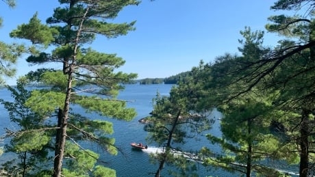 'This was the way to do it'— towns, First Nations, logging companies join up to manage Temagami forest
