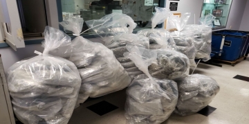 Brooklyn slaying suspect seeking bail says he’s no threat to community; prosecutors argue pictures of drugs and cash say otherwise