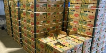 Calgary non-profit seeks landing spots after receiving more than 360 cases of bananas