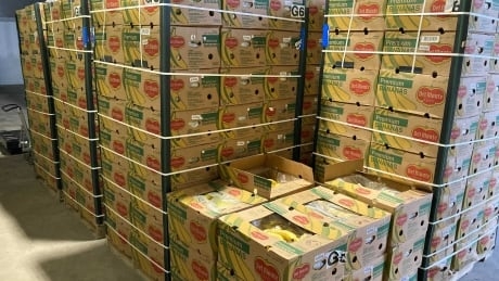 Calgary non-profit seeks landing spots after receiving more than 360 cases of bananas