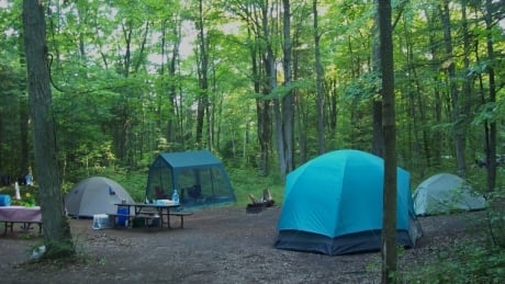There's a mad rush for summer campsites in Ontario parks right now