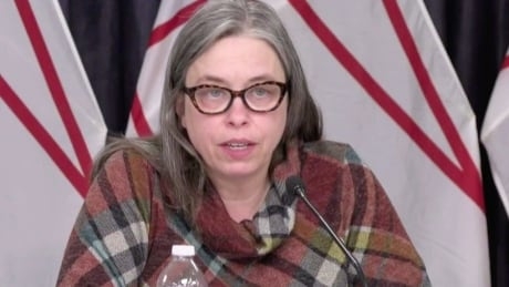 30 new cases of COVID-19 in N.L., as Fitzgerald orders 'circuit breaker' for St. John's region