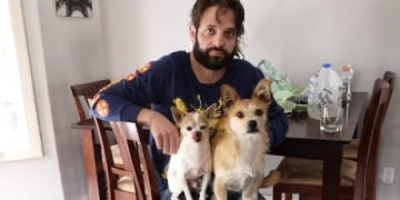 Trial begins for Calgary man accused in fatal beating of 2 dogs