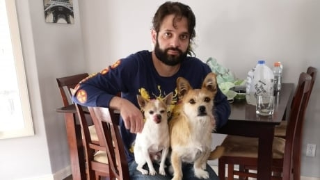 Trial begins for Calgary man accused in fatal beating of 2 dogs