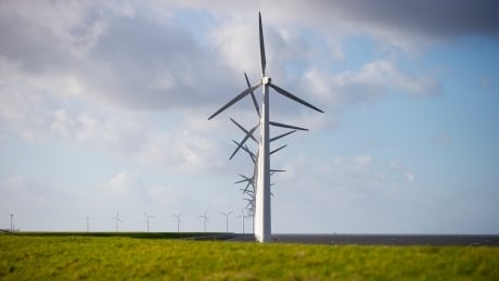 Denmark's climate goal too reliant on unproven tech, government council says