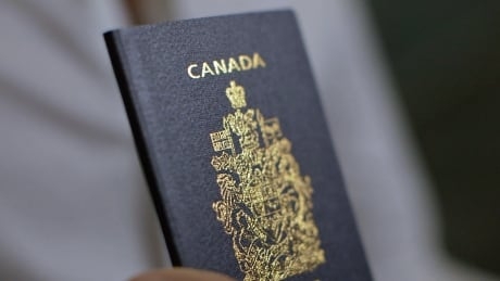 Virtual passport app presents real data risk, experts warn