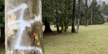 Trees in Vancouver park spray-painted with racist graffiti