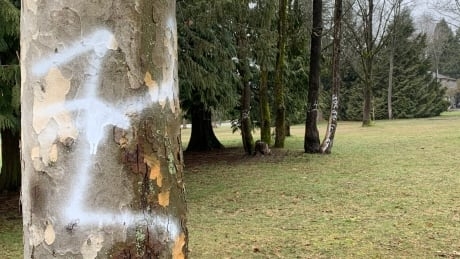 Trees in Vancouver park spray-painted with racist graffiti