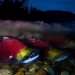 New research suggests 70% decline in diversity of B.C. sockeye salmon stock in past century