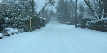 Snowfall warnings issued for B.C. South Coast with up to 20 cm of snow forecast in some areas