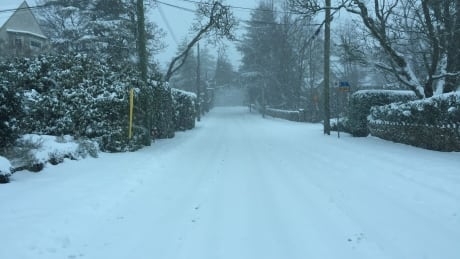 Snowfall warnings issued for B.C. South Coast with up to 20 cm of snow forecast in some areas