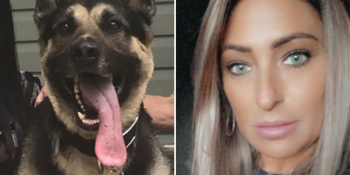 Elite K-9 sits at home in retaliation for NYC correction officer’s sexual harassment claim: suit